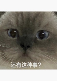诡食秘录