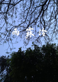 hp遇见